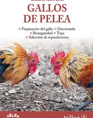 GALLOS DE PELEA