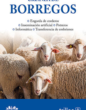 Crianza de Borregos