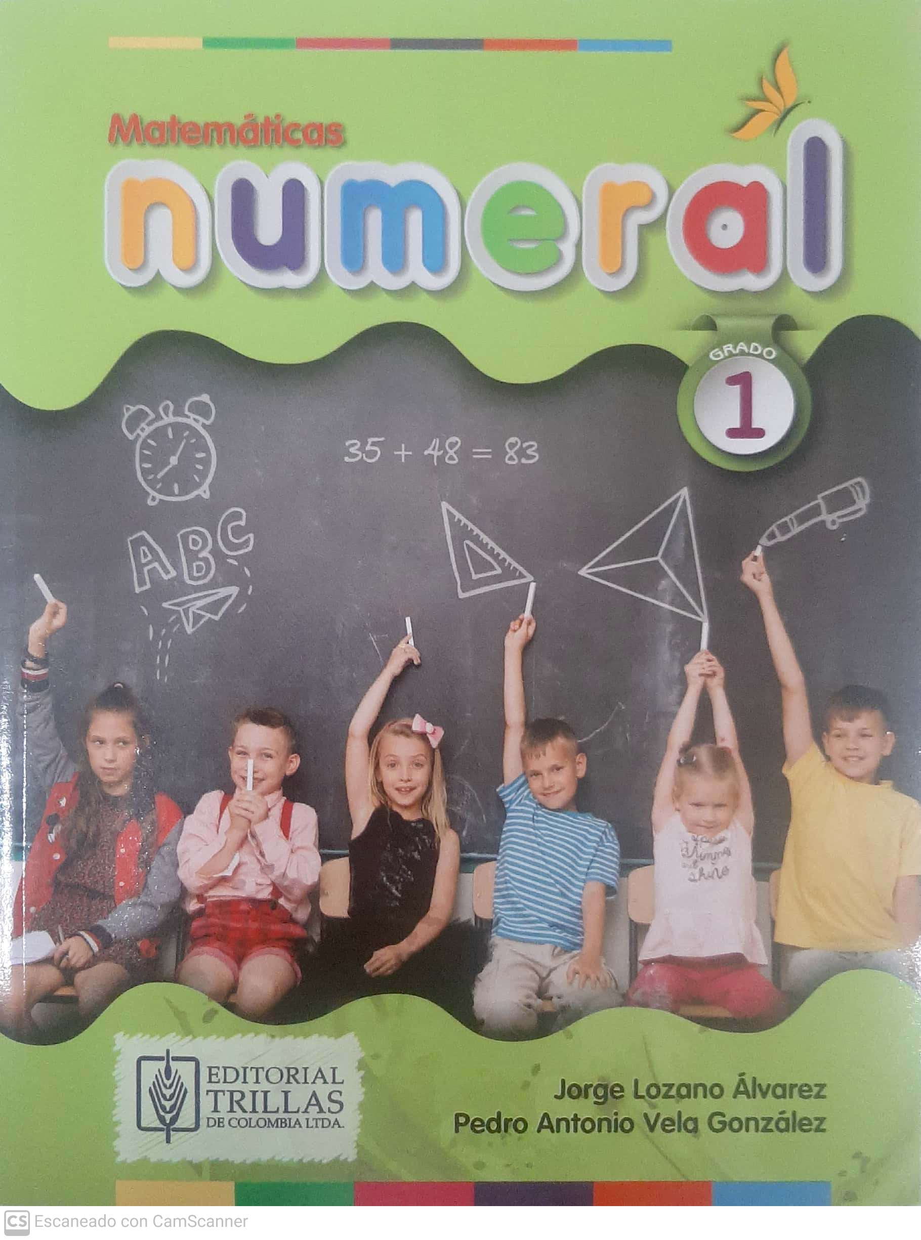 NUMERAL 1 PRIMARIA