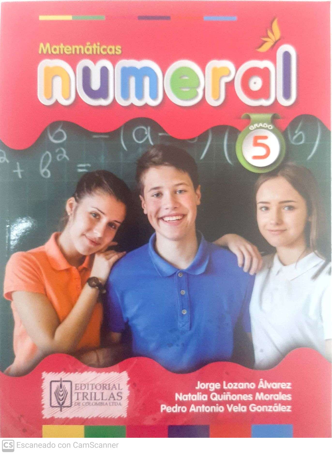 NUMERAL 5 PRIMARIA
