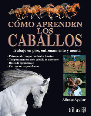COMO APRENDEN LOS CABALLOS TRABAJO EN PISO, ENTRENAMIENTO Y MONTA