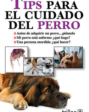 TIPS PARA EL CUIDADO DEL PERRO