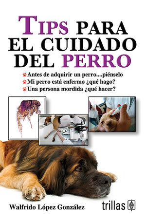 TIPS PARA EL CUIDADO DEL PERRO