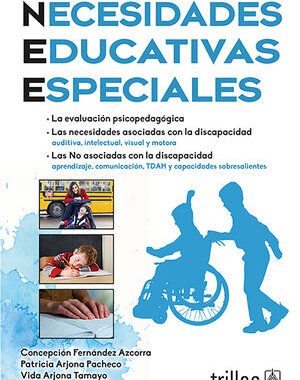 DETERMINACION DE LAS NECESIDADES EDUCATIVAS ESPECIALES