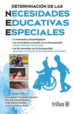 DETERMINACION DE LAS NECESIDADES EDUCATIVAS ESPECIALES